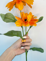 Sunflower Kiss